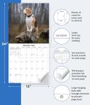 Beagles Monthly Calendar 2026 - Adorable Dog Photos