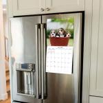 Beagles Monthly Calendar 2026 - Adorable Dog Photos