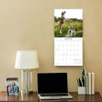 Beagles Monthly Calendar 2026 - Adorable Dog Photos