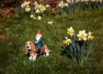 Gnome Riding Basset Hound Garden Sculpture