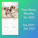 Beagles Monthly Calendar 2026 - Adorable Dog Photos