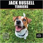 Jack Russell Terriers 2026 Wall Calendar