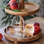 Funny Dog Mom Pomeranian Acrylic Keepsake Award