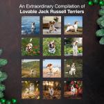 Jack Russell Terriers 2026 Wall Calendar