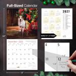 Jack Russell Terriers 2026 Wall Calendar