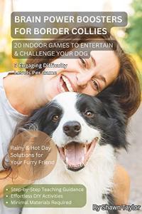 Fun Indoor Games to Challenge Your Dog