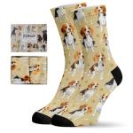 Beagle Socks for Dog Lovers and Owners