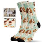 Dog Lover Socks for Cavalier King Charles