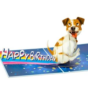 Funny 3D Birthday Card for Dog Lovers