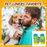 Beagle Socks – Perfect Gift for Dog Lovers