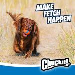 Chuckit! Ultra Ball Dog Toy, Balls for Dogs to Fetch, Durable Rubber, Small 2-inch, Pack of 2