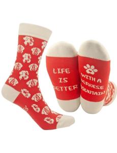 Funny Bernese Mountain Dog Crew Socks for Everyone