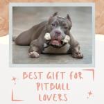 Pitbull Lover's Rose Gold Insulated Tumbler