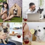 Funny Bulldog Wine Glasses Set for Dog Lovers