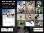 2026 Siberian Husky Monthly Wall Calendar