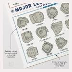 Major League Ballparks Scratch-Off Poster for Dog Lovers