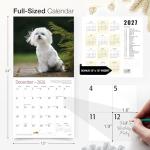 Maltese 2026 Wall Calendar - Adorable Puppy Art