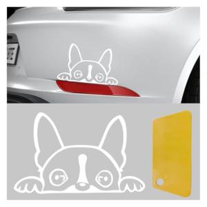 Boston Terrier Peeking Car Window Decal
