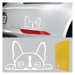 Boston Terrier Peeking Car Window Decal