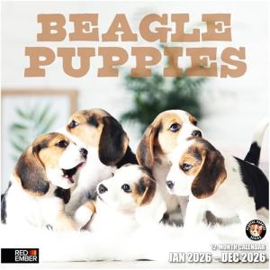 Beagle Puppies 2026 Wall Calendar - Adorable Photos