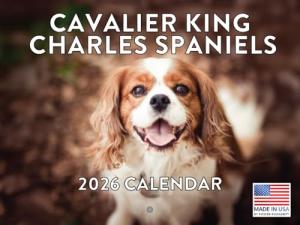 Cavalier King Charles 2026 Monthly Wall Calendar