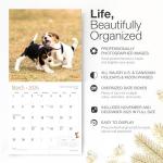 Beagle Puppies 2026 Wall Calendar - Adorable Photos