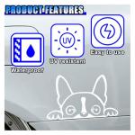 Boston Terrier Peeking Car Window Decal