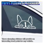 Boston Terrier Peeking Car Window Decal