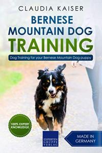 Bernese Mountain Dog Training Guide for Puppies