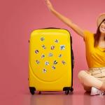 Boston Terrier Waterproof Stickers - 100 Fun Decals