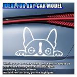 Boston Terrier Peeking Car Window Decal