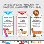 Nylabone New Puppy Starter Kit, Chew Toys & Natural Chew Treat for Puppies, Puppy Enrichment Teething Toys, Pink, Long Lasting Chicken & Bacon Flavor, Small Dogs - Up to 25 Ibs, 3 Pack