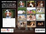 Basset Hound 2026 Wall Calendar for Dog Lovers