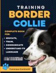Border Collie Training: The Complete Guide
