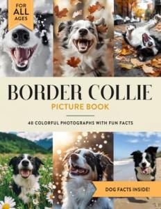 Border Collie Picture Book: Fun Facts and Photos