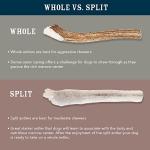 Amazon Brand – Wag Split Elk Antler, Naturally Shed, Small (Best for Dogs under 15 lbs)
