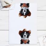 Funny Border Collie Kitchen Towels for Dog Lovers