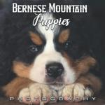 Bernese Mountain Puppies Photo Book for Dog Lovers