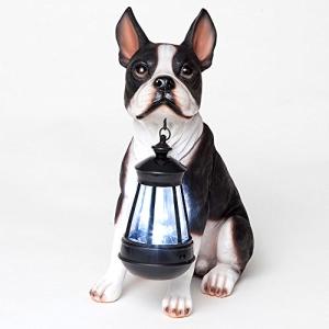 Boston Terrier Solar Lantern for Garden Decor
