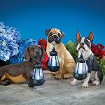 Boston Terrier Solar Lantern for Garden Decor