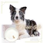 Border Collie Mom Ceramic Ring Dish