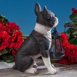 Boston Terrier Solar Lantern for Garden Decor
