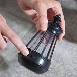 Boston Terrier Solar Lantern for Garden Decor