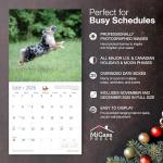 Australian Shepherds Puppies 2026 Wall Calendar