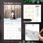 Australian Shepherds Puppies 2026 Wall Calendar