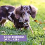 Wild Eats Real Duck Collagen Sticks for Dogs (25 Pack,5 Inch) Long Lasting Dog Chews No Hide Dog Treat Bully Stick Rawhide Free,Grain Free,High Protein