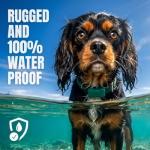 FitBark Dog Activity Monitor for Two Dogs