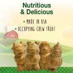 Nylabone Healthy Edibles Natural Puppy Chews Long Lasting Treats for Puppies, Lamb & Apple Flavor, Small/Regular (12 Count)