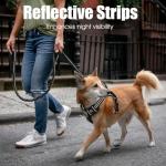 BUMBIN 6Ft Bungee Leash With 2 Handles for Large, Medium, Small Dogs - Heavy Duty, No Pull Shock Absorbing With Car Seat Belt for Training, Black