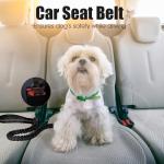 BUMBIN 6Ft Bungee Leash With 2 Handles for Large, Medium, Small Dogs - Heavy Duty, No Pull Shock Absorbing With Car Seat Belt for Training, Black